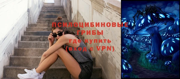 PSILOCYBIN Арсеньев