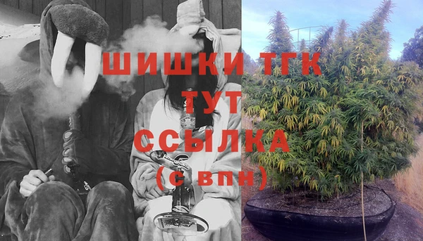 PSILOCYBIN Арсеньев